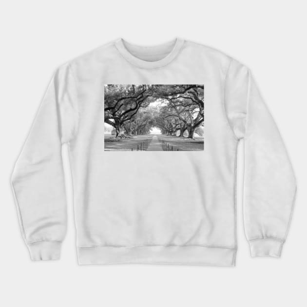 Brick Path Through Alley Of Oak Trees Crewneck Sweatshirt by HammiltenJohn